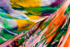 Katharina Grosse (3)