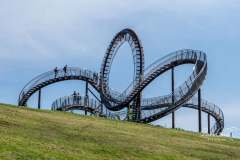 Tiger and Turtle