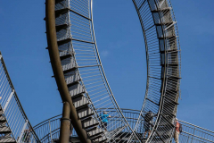 Tiger and Turtle