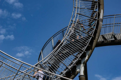 Tiger and Turtle