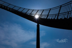 Tiger and Turtle