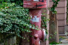 Hydrant