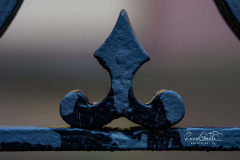 Zaundetail
